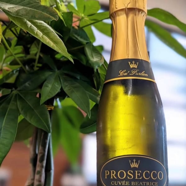 A bottle of Ca' Furlan Cuvée Beatrice Extra Dry Prosecco next to a green plant.