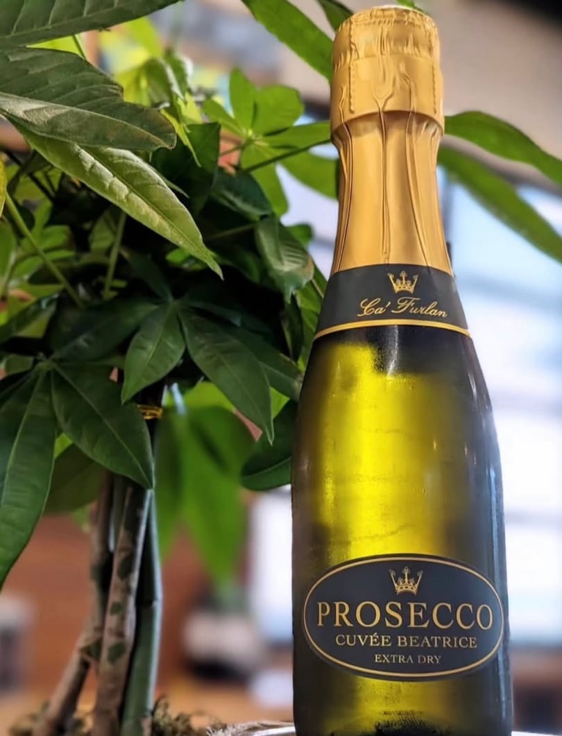 A bottle of Ca' Furlan Cuvée Beatrice Extra Dry Prosecco next to a green plant.